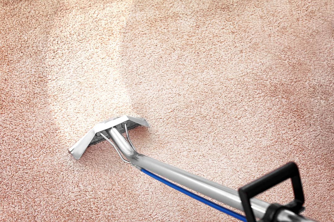 Removing dirt from carpet with professional vacuum cleaner indoors