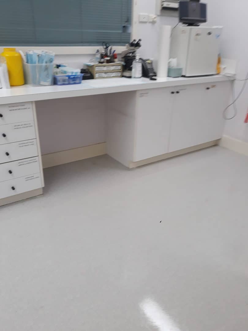 Cleaning dentist vinyl floor