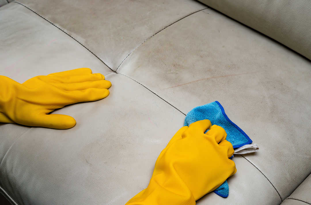 cleaning leather sofa at home with wet towel