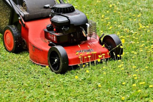 Lawn mower cutting grass